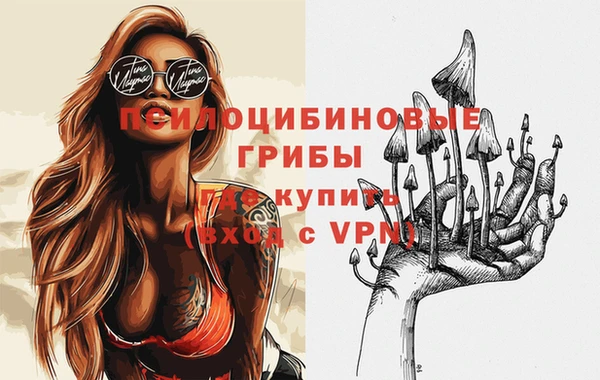 амф Медногорск