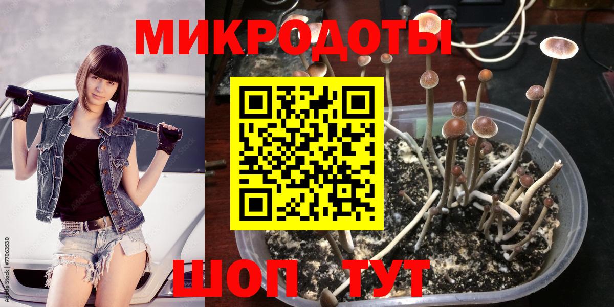 Псилоцибиновые грибы прущие грибы  Вход с VPN  Коммунар 